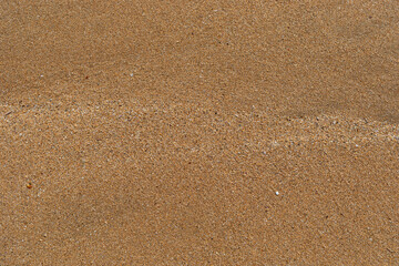 Beach sand texture with small pieces of broken shells.