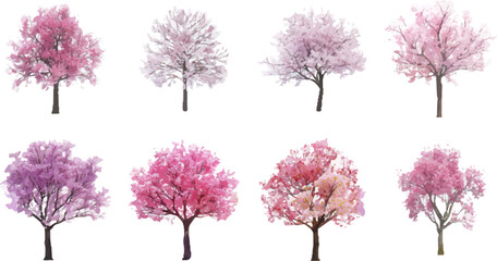 Wall Mural - sakura trees are beautiful in various forms.