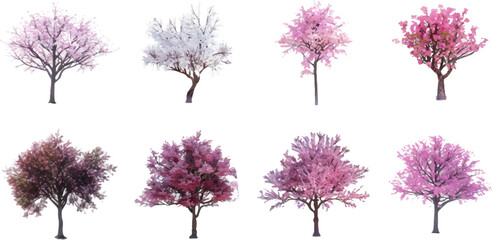 Wall Mural - sakura trees are beautiful in various forms.