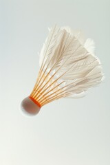 Wall Mural - Close-up of a badminton ball against a white background