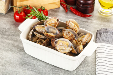 Wall Mural - Raw vongole clams for cooking