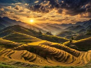 Wall Mural - a terraced field in northern vietnam in harvest season is stacked one on top of another, forming a b