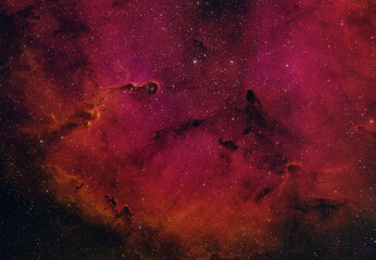 Wall Mural - IC1396