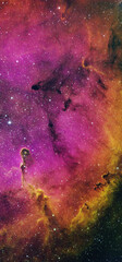 Wall Mural - IC1396