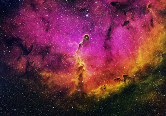 Wall Mural - IC1396