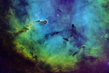Wall Mural - IC1396