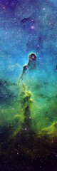 Wall Mural - IC1396