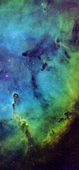Wall Mural - IC1396 Misty Clover