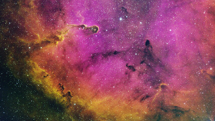 Wall Mural - IC1396