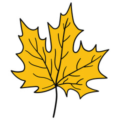 hand drawn cartoon yellow autumn maple leaf on white background.