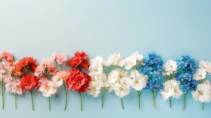 Poster - Colorful Flowers on Blue Background.