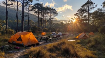 Wall Mural - A Campsite Sunrise in the Mountain Forest. Generative AI