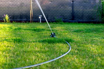 Grass swing sprinkler watering the lawn in the backyard of a house.