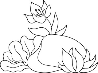 Wall Mural - Vector black and white marine composition with rock, seaweeds, water lily. Mermaid land line concept. Sea life nature decoration. Ocean or underwater clipart element or coloring page