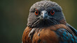 © Nimra - close up of a bird of prey, a close up of a bird of prey with mountains in the backgroound and snow capped mountains in the backgroound.