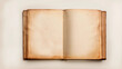 © Michael - An open, aged book with blank, yellowed pages, showcasing signs of wear and tear