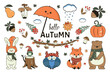 © Alyona  - A bright autumn set with cute forest animals and elements of nature. Vector design for scrapbooking, postcards, posters, tags, stickers, covers and more.