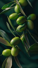 Wall Mural - abstract background, olives