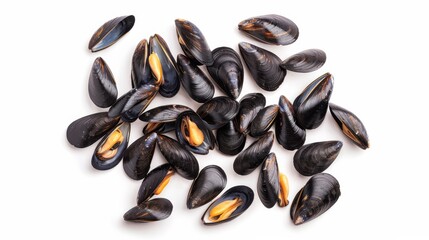 Wall Mural - Delicious cooked mussels in shells on white background, top view. Crustaceans isolated on white. Photo realistic photo.