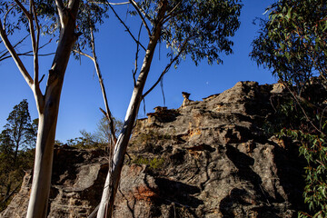 Wall Mural - Gardens of Stone National Park, Central Tablelands,  New South Wales, Australia
