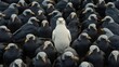 © Natalia S. - The white crow is different from all of the identical grey crows. Your opinion, you go against the crowd and leader
