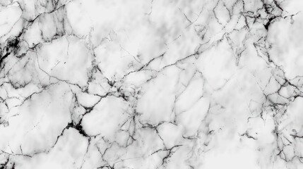 Poster - White Marble Texture Background