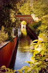 Poster - Old brick gothic bridge over the canal and autumn trees