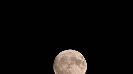 Wall Mural - full moon in dark night sky. a bright full moon against a pitch-black night sky, showcasing the luna