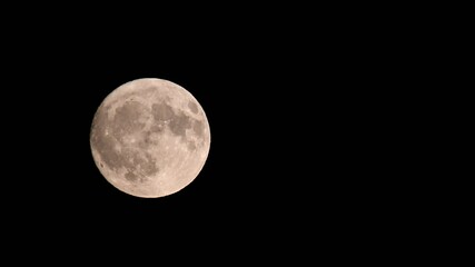 Wall Mural - full moon in dark night sky. a bright full moon against a pitch-black night sky, showcasing the luna