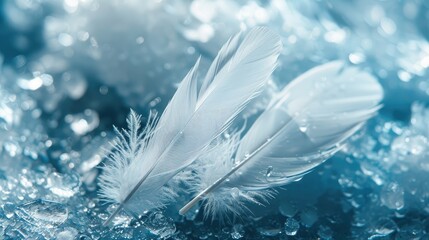 Wall Mural - Snow feathers on icy backdrop