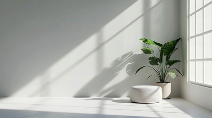 Poster - Minimalist Product Presentation Studio with Sunlight and Window Shadows