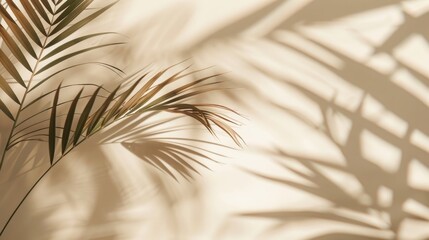Wall Mural - minimalistic summer background with blurred sunlight shadow of palm leaves on neutral beige backdrop