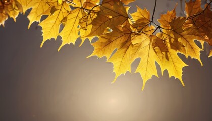 Poster - Golden Autumn Leaves.