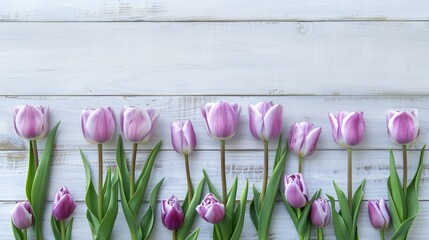 Poster - Purple tulips on white wooden surface