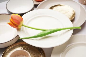 Wall Mural - Composition with different clean dishes and tulip flower on white background