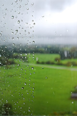 Wall Mural - spring background with rain drops on the window. natural texture concept