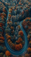 aerial view of highway