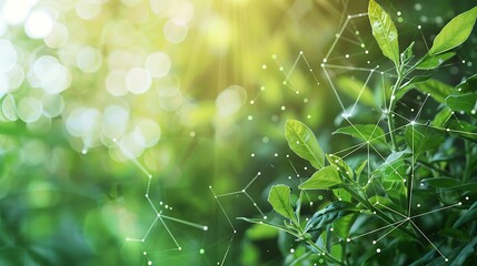 Wall Mural - natural green plants with digital connection network conceptual for sustainable natural ecosystem in