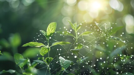natural green plants with digital connection network conceptual for sustainable natural ecosystem in