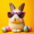 © Rizal - Cute easter concept holiday animal celebration greeting card- cool easter rabbit, rabbit with sunglasses, isolated on blue background