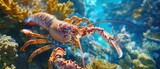 Majestic Giant Lobster and King Crab Close-up in Crystal Clear Blue Ocean - Ultra High Definition 8K Footage