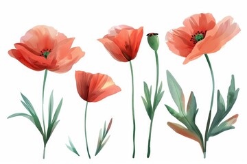 Aufkleber - A cluster of vibrant red flowers against a clean white backdrop, ideal for illustrations or designs