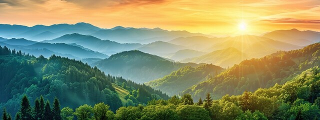 Wall Mural - Beautiful panoramic view of the sunset over mountain peaks with forest in summer