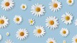 © Katerina  - Set of Stickers Featuring Daisies on a Blue Background: Fresh and Cheerful Designs on White Background
