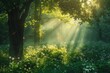 © nuttapong - Sunbeams pierce through a misty forest, illuminating the lush green foliage and wildflowers on the forest floor.