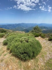 Sticker - Paysage de montagne dans les Cévennes