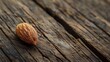 © TheWaterMeloonProjec - Single almond on aged wooden surface