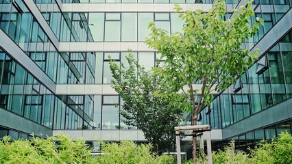 Lush green plants in a landscaped garden in front of a modern glass fronted office block blowing in the wind.