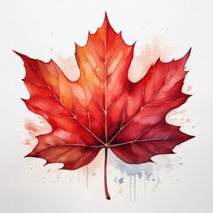 Wall Mural - isolated fall autumn leaf watercolor painting