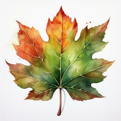 Wall Mural - isolated fall autumn leaf watercolor painting